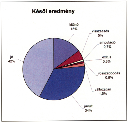 Érfejlődési rendellenességek aktív oki kezelésének hosszútávú eredményei