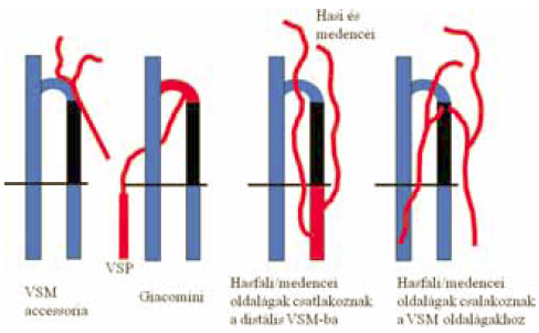 Maradvány és kiújult varixok