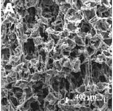 Polycaprolacton scaffold porózus szerkezete