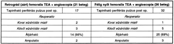 Femoro-poplitealis thrombendarteriectomiák videoangioscopos kontroll mellett