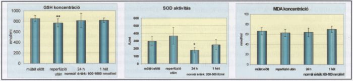 Az alsó végtagi revaszkularizációs szindrómáról