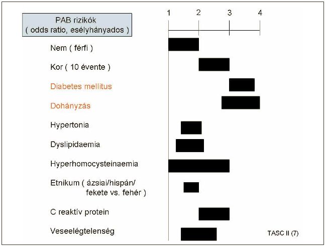 Perifériás artériás betegség (PAB) és a komplex kardiovaszkuláris prevenció