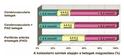 Perifériás érbetegek és stroke-ot elszenvedett betegek komplex angiológiai vizsgálata és gondozási folyamata.
