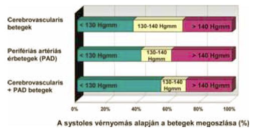 Perifériás érbetegek és stroke-ot elszenvedett betegek komplex angiológiai vizsgálata és gondozási folyamata.