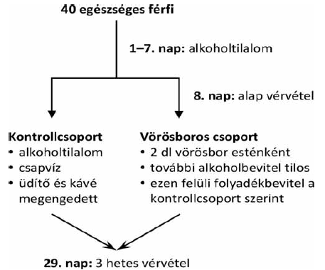 A vörösbor kedvező hemoreológiai hatásai: experimentális és humán klinikai vizsgálatok