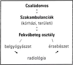 Mit tehet egy megyei korház angiológiai belgyógyászata az érbetegekért?