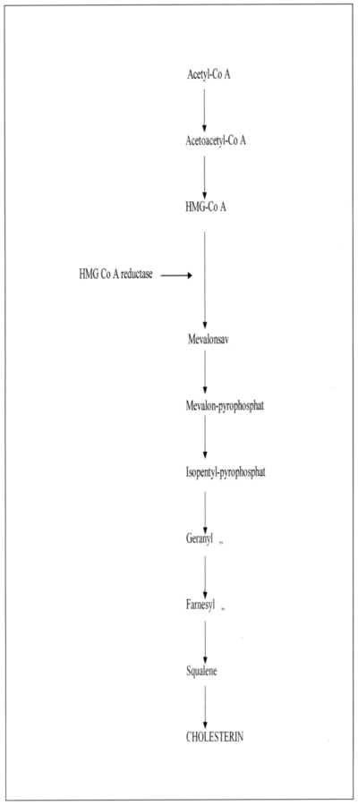 A koleszterin metabolismus dualis gátlása
