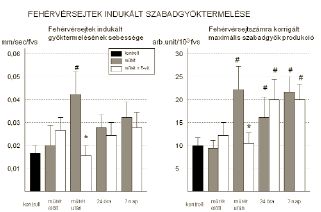 Az E-vitamin hatása a reperfúziós károsodásokra alsó végtagi rekonstruktív érműtétek során