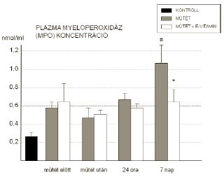 Az E-vitamin hatása a reperfúziós károsodásokra alsó végtagi rekonstruktív érműtétek során