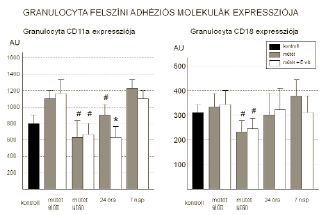 Az E-vitamin hatása a reperfúziós károsodásokra alsó végtagi rekonstruktív érműtétek során