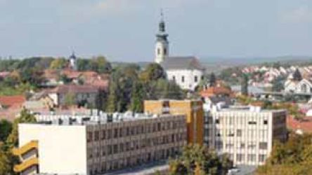 A korai egri érsebészet története