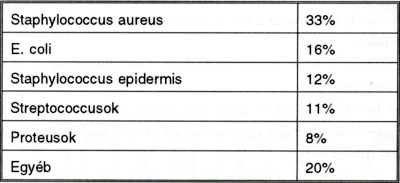 Antibiotikum profilaxis szerepe az érsebészeti műtéteknél