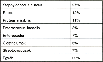 Antibiotikum profilaxis szerepe az érsebészeti műtéteknél
