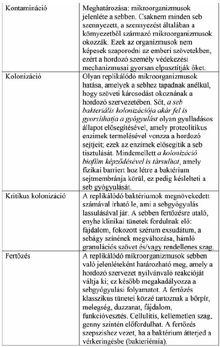 A sebek batkérium tartalmának négy kategóriája