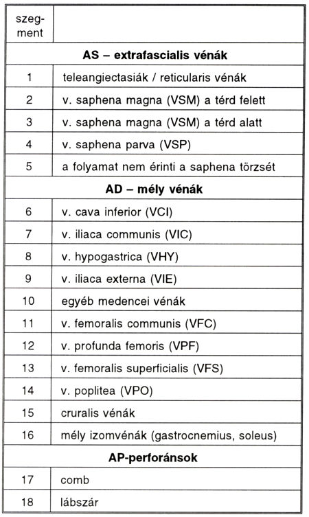 Az alsó végtag krónikus vénás elégtelenségének klasszifikációja és a súlyosság mértékének megállapítása
