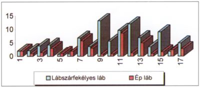 Arteriovenosus shuntök ulcus crurisban