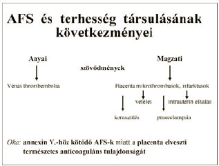 Terhes nők thromboprofilaxisa