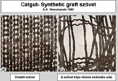 Magyarországi érprotézis kísérletek