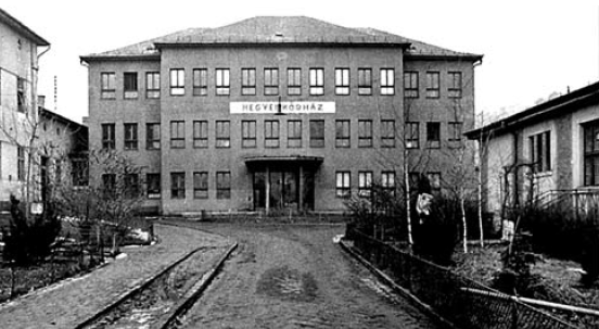 A Salgótarjáni Kórház Érsebészeti Osztályának története